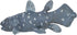 Safari Ltd. Coelacanth Figurine - Detailed 5.5" Prehistoric Fish Figure - Educational Toy for Boys, Girls, and Kids Ages 3+...