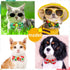 15pcs Summer Small Dog Collar with Bow Ties, Bulk Adjustable Hawaii Fruit Pattern Dog Bow Ties, Pet Dog Collar Grooming Bowties, Puppy Dog Bow Tie...