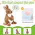 Mother's Day Stuffed Animals Kangaroo Cute Plush Toys Special Day for Kids Preschool Birthday Gifts for Kids, Brown, 10.5’’...