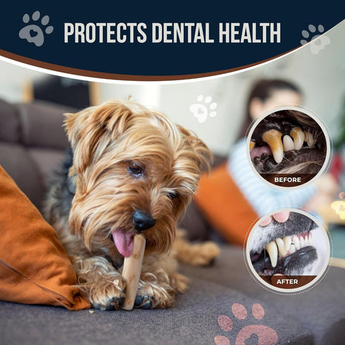 Coffee Wood Dog Chew Stick for Small Dogs, 7.5'', 2 Pack Size S - 100% Natural Chew Toys - Teeth Cleaning, Stress Relief, Dog Health - Organic...