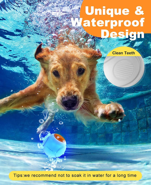 LED Dog Ball Rechargeable, Light Up Dog Ball Toys, Bounce-Activated Durable Fetch Ball, Natural Rubber, Unique Scent, 2.5 inches, for Small & Medi...