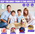 Gnat Trap for House Indoor Flying Insect Trap Bug Catcher Plug in Fly Trap Indoor Mosquito Trap UV Bug Light Bug Catcher with 5 Sticky Bug Trap Bo...