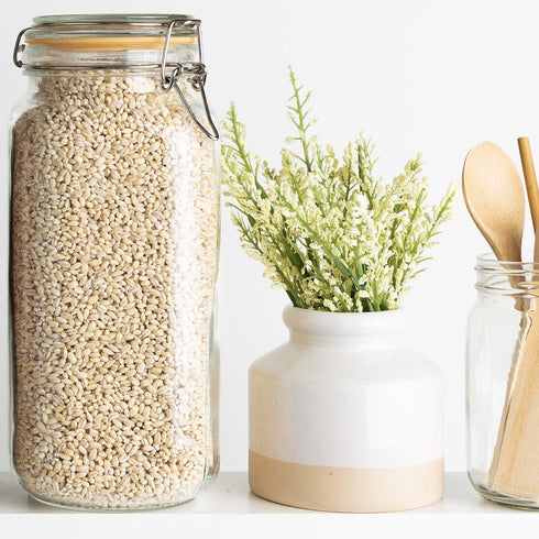 Galashield Classic Glass Jars with Airtight Lids - 67 oz Food Storage Jars - Leak Proof, Shock Resistant, Dishwasher Safe...