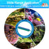 5 PCS Aquarium Air Stone Kit 4 Inch Mini Bubble Bar Square Oxygen Diffuser Release Mineral Airstones for Pumps for Your Fish Tank Oxygenation Need...
