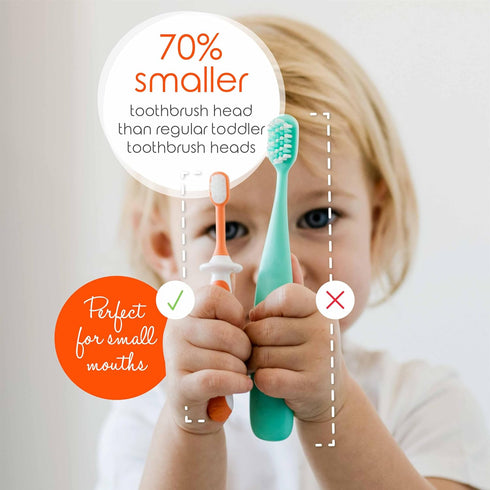 Cherish Baby Care Toddler Toothbrushes 1-2 Years (4-Pack) - BPA-Free & Safety-Tested Kids Toothbrush Kit, Designed by a Pediatric Dentist, Soft-Gr...