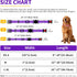 Dog Collar for Medium Large Breed Dogs with 360° Water Proof Airtag Holder, Padded Soft Reflective Nylon Pet Collar for Puppy Small Girl Boy Dogs,...