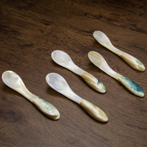 DUEBEL Mother of Pearl Caviar Spoons, 4' Luxury Handmade Spoons for Caviar/Shrimp/Egg/Icecream Serving (5pcs)...