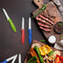 Paring Knife set of 6 PCS, 3.5 Inch Stainless Steel Fruit and Vegetable Knives,Comfortable Handle With Multi-Color Red/Green/Blue...