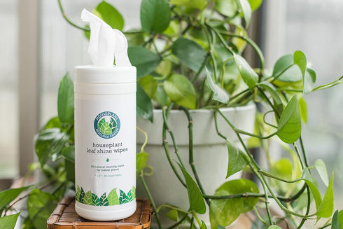 Leaf Cleaner Wipes for House Plants - Sparkling Leaf Shine for Indoor Plants Plant Cleaning Wipes for Leaves - Root and Plant Duster Wipes (30 Cou...