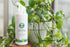 Leaf Cleaner Wipes for House Plants - Sparkling Leaf Shine for Indoor Plants Plant Cleaning Wipes for Leaves - Root and Plant Duster Wipes (30 Cou...