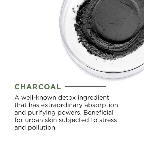L'Oreal Paris Skincare Pure Clay Face Mask with Charcoal for Dull Skin to Detox & Brighten Skin, Clay Mask, at home face mask, 1.7 oz....