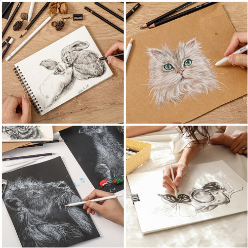 Drawing Sketching Pencil Set - 22 Piece Graphite Pencils, White Gel Pen, White Charcoal Pencils, Eraser Pencils, Erasers, Blending Stumps for Draw...