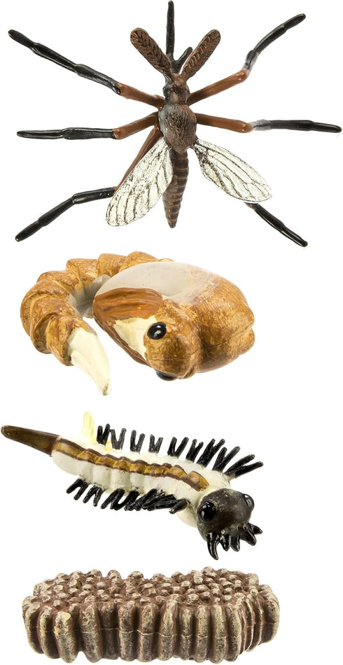 Safari Ltd. Life Cycle of a Mosquito - Educational Toy Figurines - Miniature Insect Lifecycle Collection for Boys, Girls & Kids Age 4+...