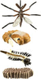 Safari Ltd. Life Cycle of a Mosquito - Educational Toy Figurines - Miniature Insect Lifecycle Collection for Boys, Girls & Kids Age 4+...