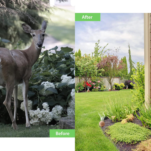 Deer Repellent 10 Pack Peppermint Oil Deer Scram Deer Stopper Balls Natural Deer Off Deer Deterrent for Outdoor Garden Yard Lawn to Keep Rabbit De...