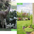 Deer Repellent 10 Pack Peppermint Oil Deer Scram Deer Stopper Balls Natural Deer Off Deer Deterrent for Outdoor Garden Yard Lawn to Keep Rabbit De...