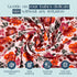 Baby Gear Soft Baby Blanket for Girl Newborn Plush Blanket for Baby 30x30 Flower Print Baby Throw Blanket...