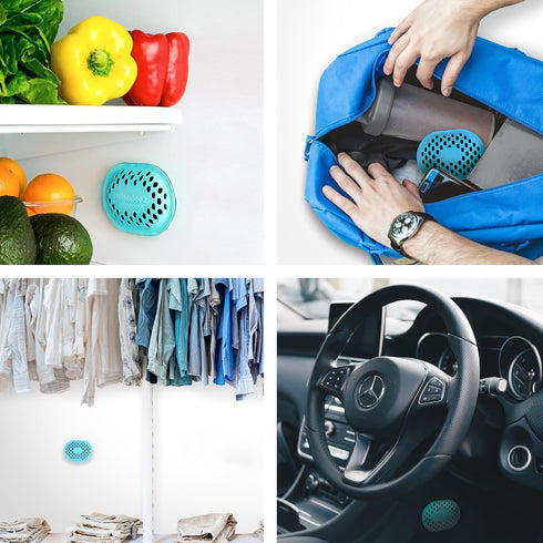 Deodorizer and Odor Eliminator, Made From Natural Renewable Coconut Shell Charcoal, Natural Air Fresheners, Moisture & Odor Absorber for Home and ...