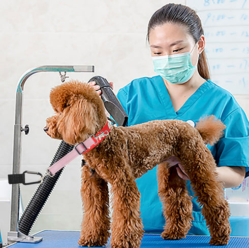 Pet Dog Grooming Arm Accessories Supplies Compatible for Groomers Helper Grooming Loop Dog Grooming Extension Strap Adjustable Dog Grooming Table ...