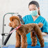 Pet Dog Grooming Arm Accessories Supplies Compatible for Groomers Helper Grooming Loop Dog Grooming Extension Strap Adjustable Dog Grooming Table ...
