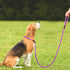 PetiFine Slip Lead Dog Leash,6FT x 1/2" Reflective Durable Dog Training Leash, Heavy Duty Adjustable Nylon Dog Rope Leash Slip Leash for Small Med...
