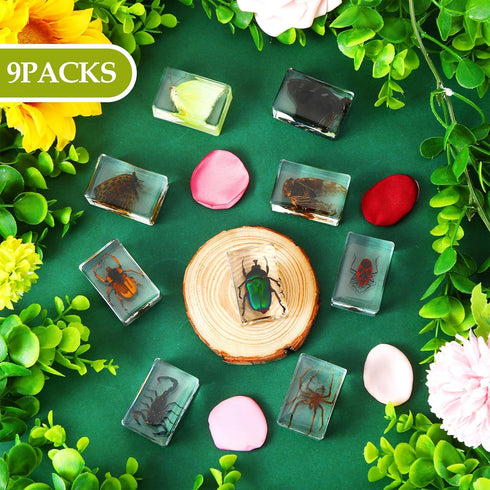 9 Pcs Insect in Resin Specimen Bugs Collection Paperweights Arachnid Butterfly Bug Toys Different Real Bugs in Resin Educational Science Classroom...