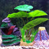 COOSPIDER Betta Fish Leaf Pad Hammock Aquarium Decoration Cichlid Fish Tank Resin Rock Mountain Cave Ornaments Fish Bowl Decorations for Sleeping ...