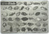 Painless Learning Saltwater Fish Placemat, 12 x 17 1/2 inches...