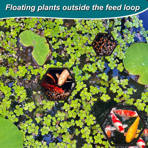 5pcs Aquarium Floating Plant Corral, Foam Fish Feeding Rings Hexagon Fish Tank Food Ring for Keeping Floating Plants in Place (Black)...