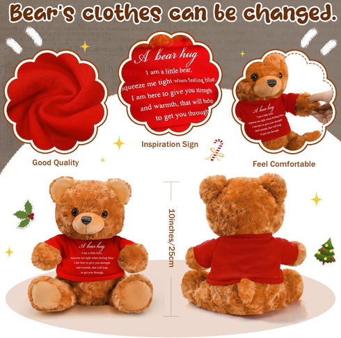 Bear Plush Stuffed Animal Sympathy Gift with a Bear Hug Sign Clothing Hug Bear Gift for Kids Condolences Memorial Comfort Loss of Loved One(Brown,...
