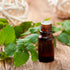 Essences Bulgaria Organic Mint Essential Oil 1/3 Fl Oz | 10ml | Mentha arvensis | 100% Pure and Natural | Undiluted | Therapeutic Grade | Family O...