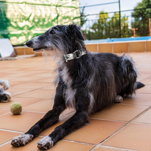 Stylish Camouflage Floral Printed Dog Collar - Adjustable Collar for Small and Medium Large Dogs (L, Black)...