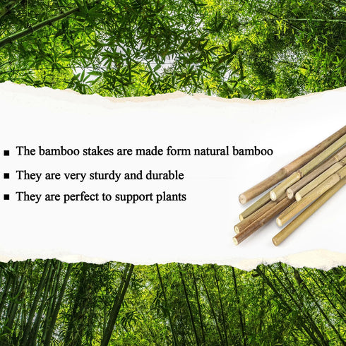 Plant Stakes Natural Garden Bamboo Sticks for Indoor and Outdoor Plants, 20pcs Plant Support Stakes for Tomatoes, Beans, Potted Plants - 18 inches...