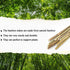Plant Stakes Natural Garden Bamboo Sticks for Indoor and Outdoor Plants, 20pcs Plant Support Stakes for Tomatoes, Beans, Potted Plants - 18 inches...