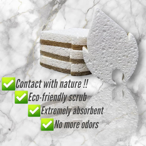 nayree Eco-Friendly 2-Pack Biodegradable Sponges, Compostable Coconut Cellulose Scrubber & Alternative to Steel Wool - High Absorbency, Chemical-F...