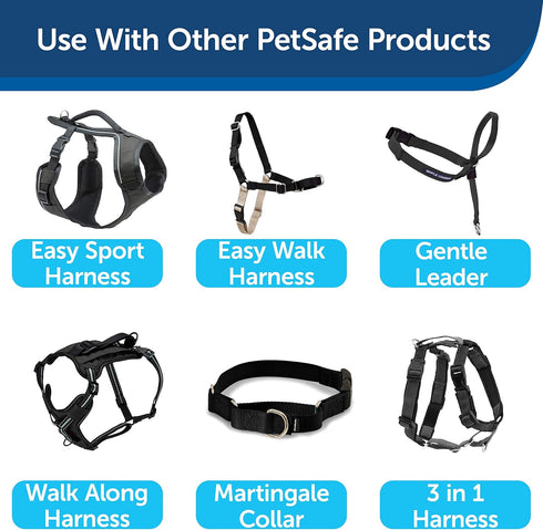 PetSafe Nylon Dog Leash - Strong, Durable, Traditional Style Leash with Easy to Use Bolt Snap - 1 in. x 4 ft., Black...