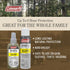 Coleman Lemon Eucalyptus Insect Repellent Spray - DEET-Free Bug Protection with Continuous Spray, Travel Size for On-The-Go, Non-Greasy Formula fo...