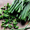 Chives Seeds Allium Schoenoprasum Herbaceous Perennial Culinary Attracts Pollinators Rich in Vitamins A and C for Cooking Vegetable Garden Outdoor...