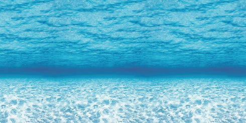 Fadeless Bulletin Board Paper, Fade-Resistant Paper for Classroom Decor, 48” x 12’, Under the Sea, 1 Roll...