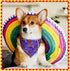 20 Pack Cinco De Mayo Mexico Dog Bandana Adjustable Triangle Dog Bibs Polyester Fiesta Pet Scarf Washable Breathable Pet Neckerchief for Dogs Cats...