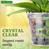 Orchid Breathable Slotted Clear Plastic Pot (4.5 inch (4 Pack))...