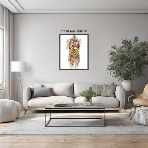Posterizer 1 pcs-anatomical illustration of the human digestive system 2-Teachers & Classrooms-Abstract & Modern Art-School and classroom art- unf...
