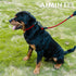 Dog Leash, Braided Rope Traction – Walking Training Lead for Medium/Large Dogs ((1/2") - 2FT, Red)...