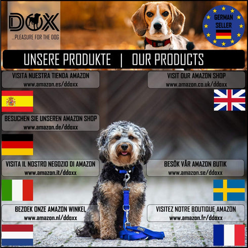 DDOXX Dog Collar Air Mesh, Adjustable, Padded | Many Colors & Sizes | for Small, Medium & Large Dogs | Collars cat Puppy pet Kitten | Yellow, XS...