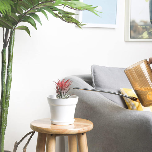 T4U 4 Inch Plant Pots 18-Pack - Small Plastic Planter with Drainage Hole and Saucer, Decorative Nursery Flower Pot Bulk for African Violet, Snake ...