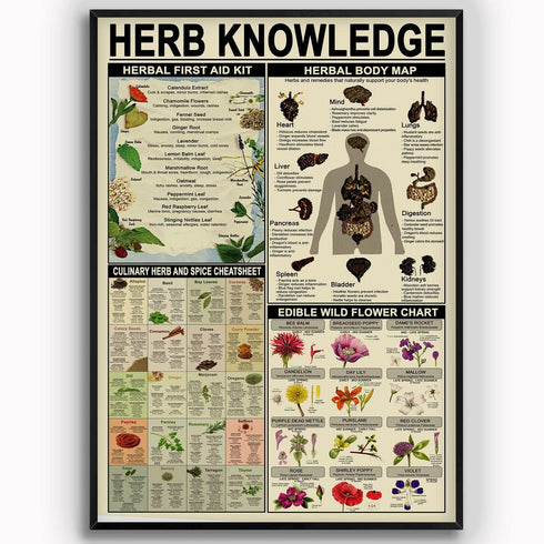 Herb Knowledge Metal Tin Signs Herbal First Aid Kit Infographic Poster Pharmacist Study Guide Tin Plaque Home Pharmacy Office Kitchen Wall Decor 8...