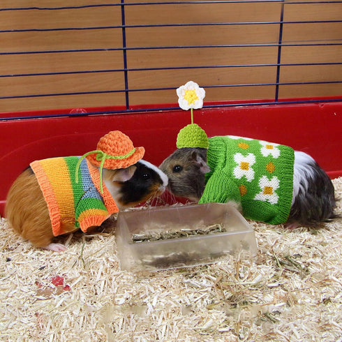 10 Pcs Guinea Pig Stuff Includes 5 Cute Mini Hats Cozy Hand Knitted Hat with Adjustable Strap and 5 Guinea Pig Clothes Small Animal Vest Sweater f...