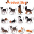 12PCS Dog Figurines Playset, Realistic Detailed Plastic Puppy Figures, Hand Painted Mini Dog Figures Toy Set Cake Toppers Birthday Easter Eggs Gif...