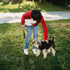 4 Ft Reflective Dog Leash Durable Nylon Puppy Leash with Reflective Threads and Comfortable Padded for Walking Dog Lead Great for Small and Medium...