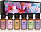 P&J Trading Fragrance Oil Ladies Set | Pearberry, Lavender, Warm Vanilla Sugar, Plumeria, Magnolia, Wisteria Candle Scents for Candle Making, Fres...